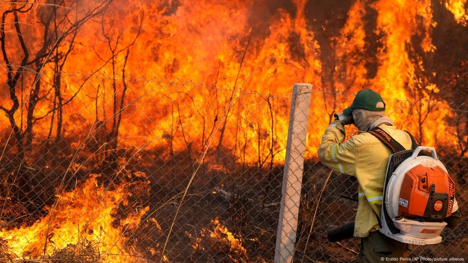 Extensive wildfires fueled record forest loss in 2024 – DW – 05/21/2025