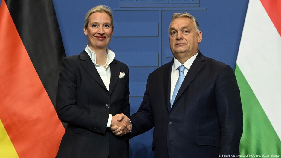 European far-right parties on the rise – DW – 06/12/2025