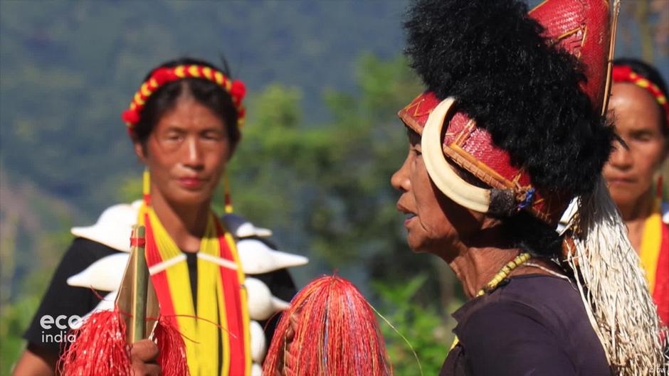 Nagaland's Konyak tribe rethinks tradition to save wildlife  – DW – 06/10/2025