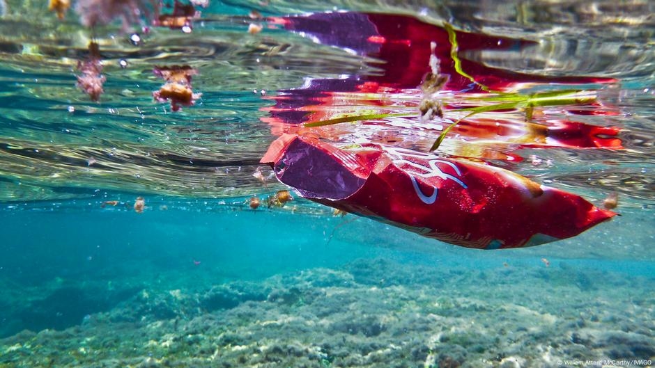 What environmental challenges does the Mediterranean face? – DW – 08/09/2025
