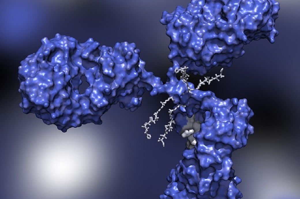 Veranova invests $50 mn+ in ADC bioconjugation at Devens