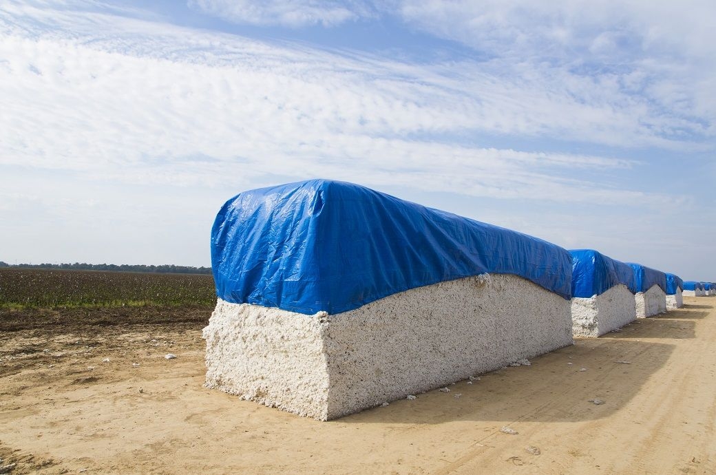 USDA cuts global cotton output, ending stock & consumption for 2025â26