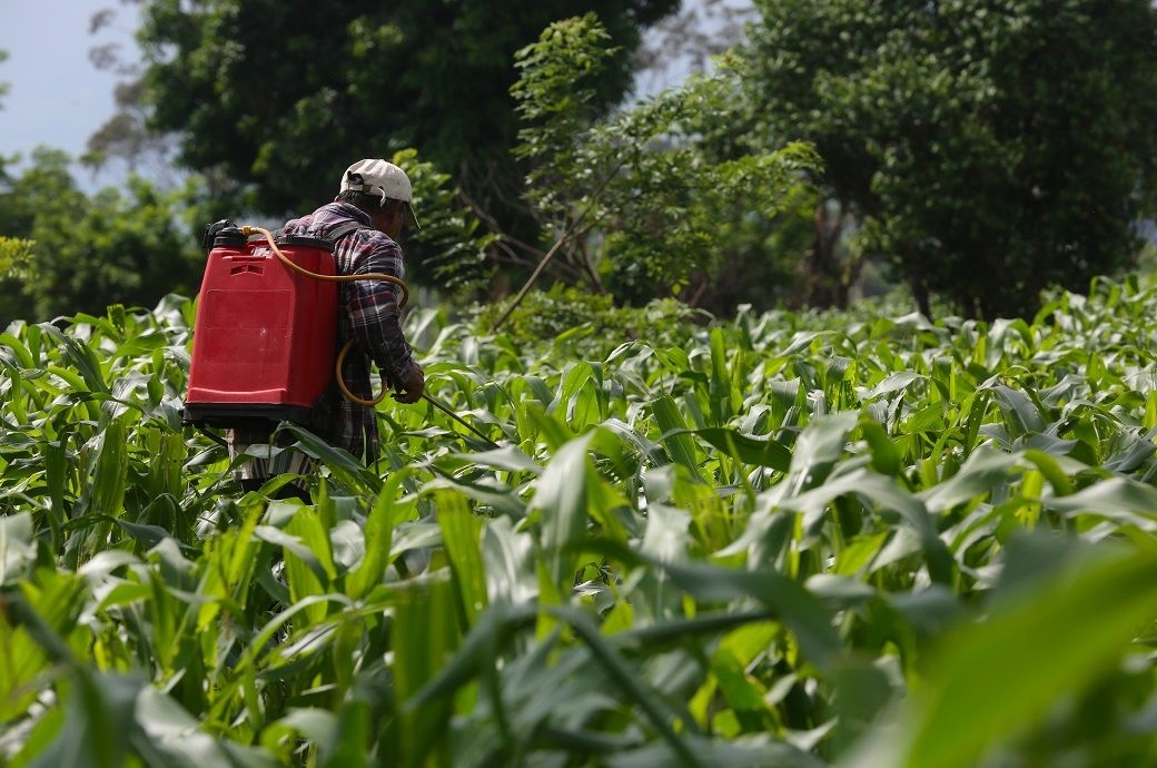 Indian agrochemical sector eyes recovery with normalising demand