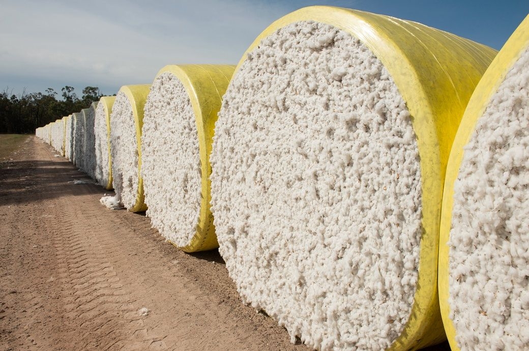 ICAC holds world cotton production at 26 MT, consumption at 25.7 MT