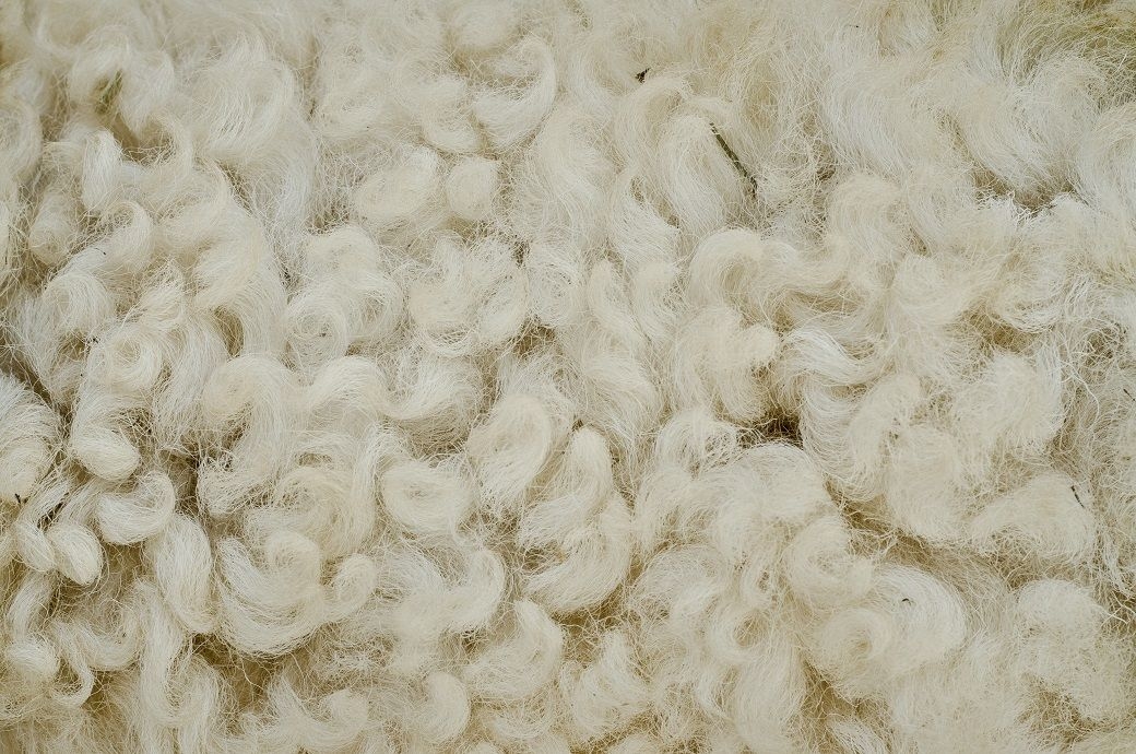 Australia's Merino wool prices ease amid tight supply, stronger AU$