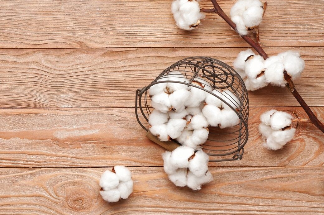 ICE cotton futures steady as crude gains, market awaits USDA data