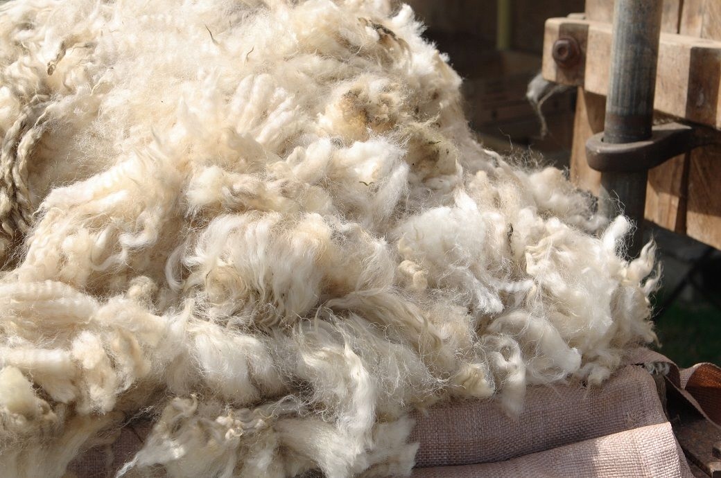 Mongolia, Kyrgyzstan sign MoU on cooperation in wool processing