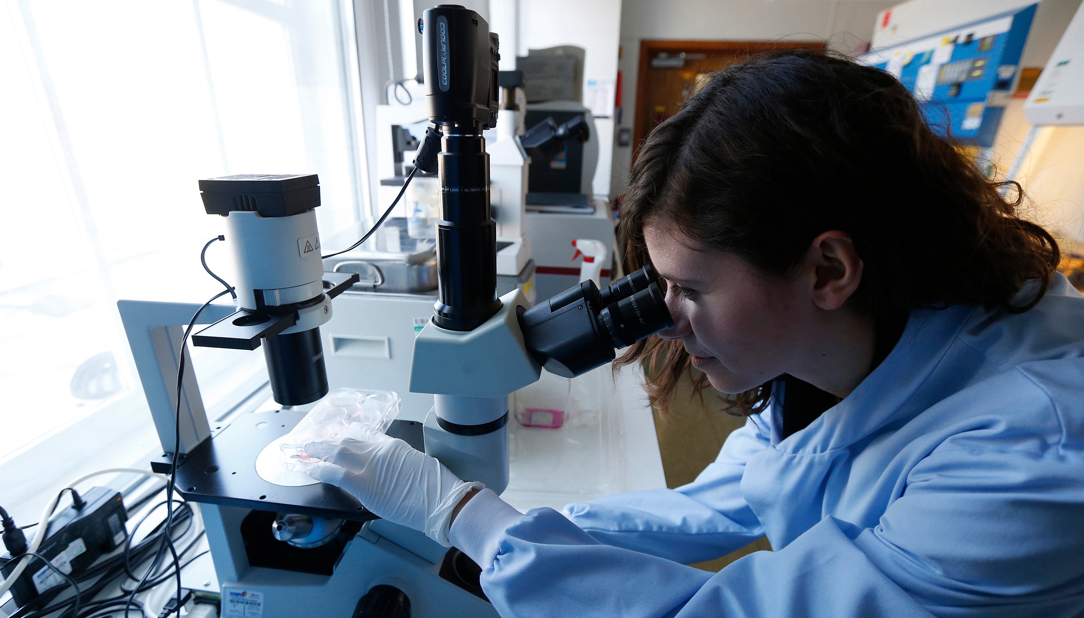 White House office tells agencies to apply 'Gold Standard Science' to depoliticize research, restore trust
