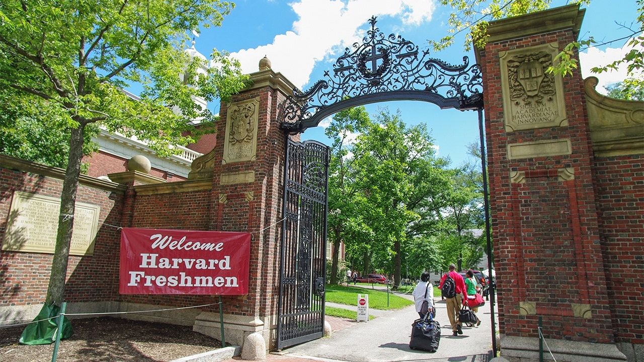 Harvard's remedial math course reignites concerns over test-optional pandemic policies