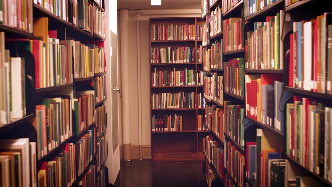 Alabama city bemoans ‘rogue' library and 'woke' city council over sexually explicit books on library shelves