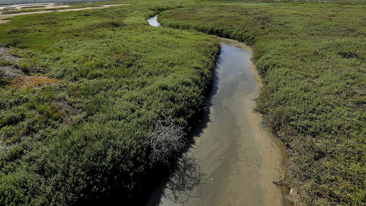 Mexico to dump millions of gallons of sewage into Tijuana River, US continues to be a dumping ground: Official