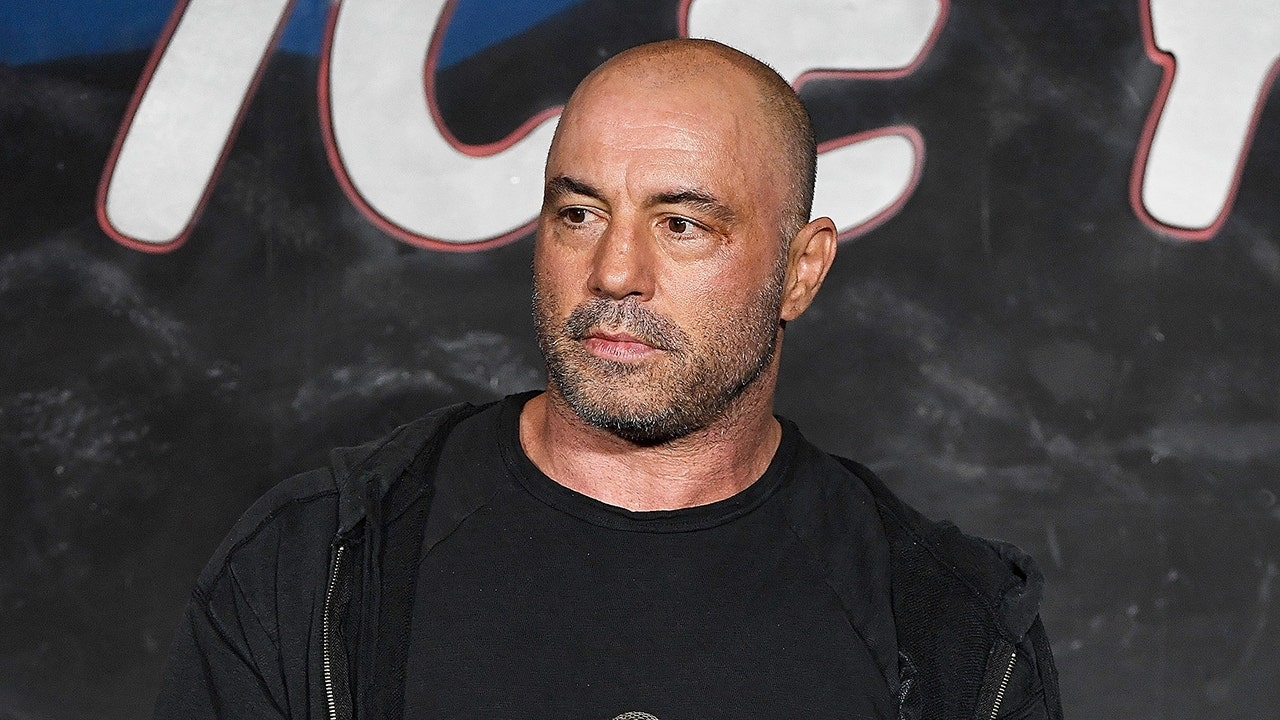 Rogan says voters are frustrated because they expected Trump's ICE raids to nab gang members, not landscapers