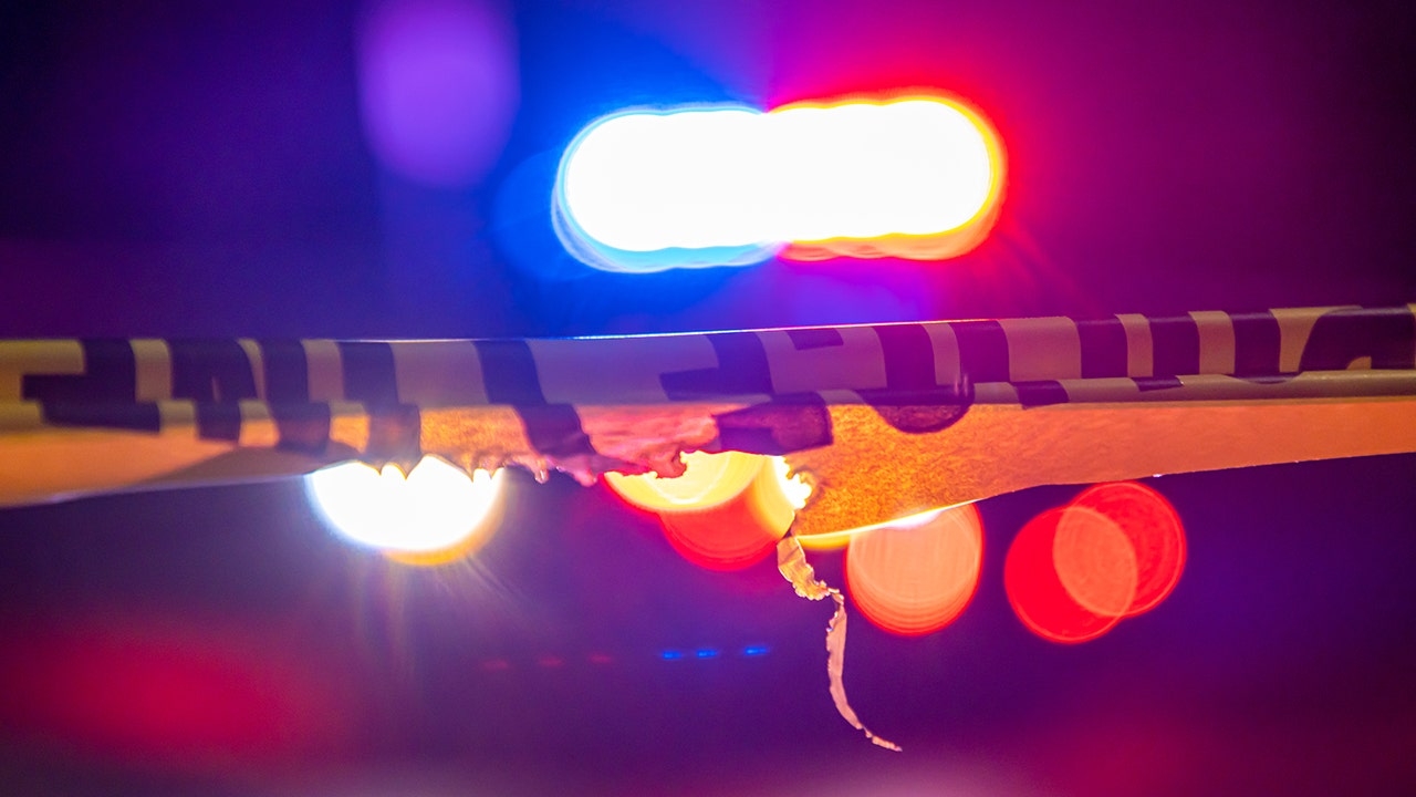 MMA fighter shot and killed during Florida home invasion in apparent ‘Stand your Ground' case