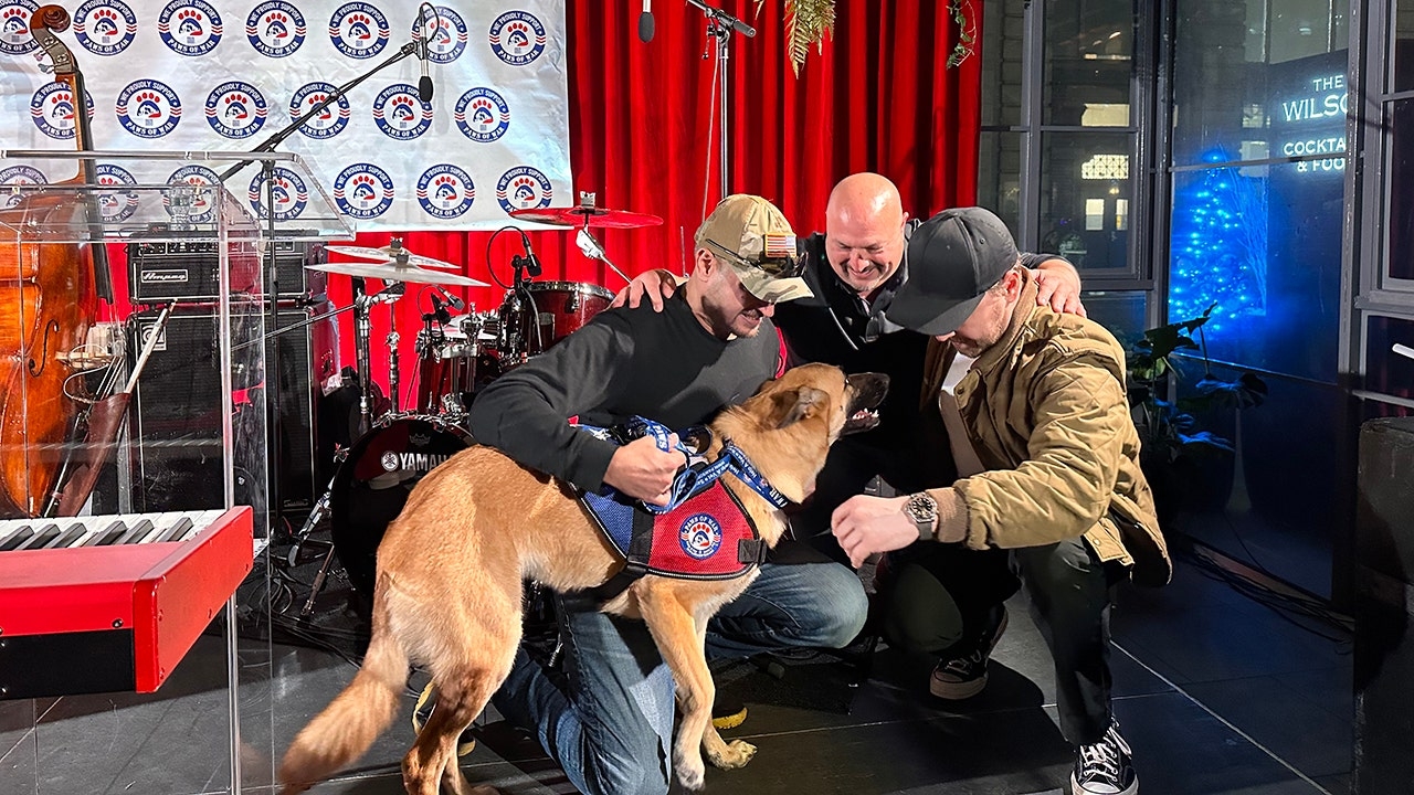 Bipartisan bill would give eligible veterans free service dog