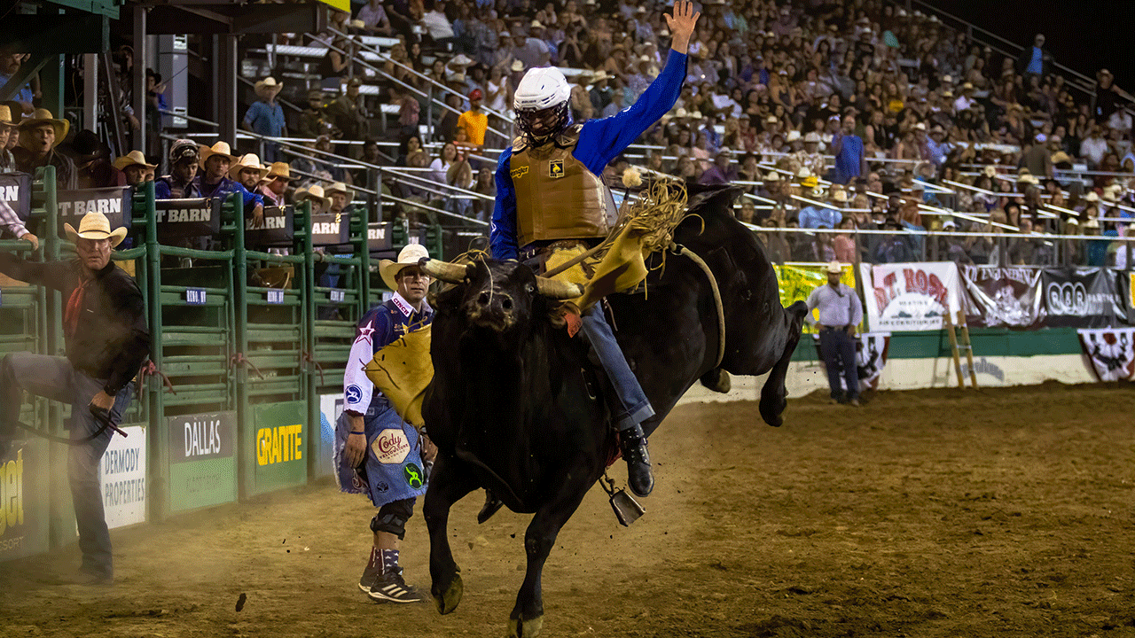 ‘PBR Friday Night Live' bucks into Fox Nation with high-octane debut