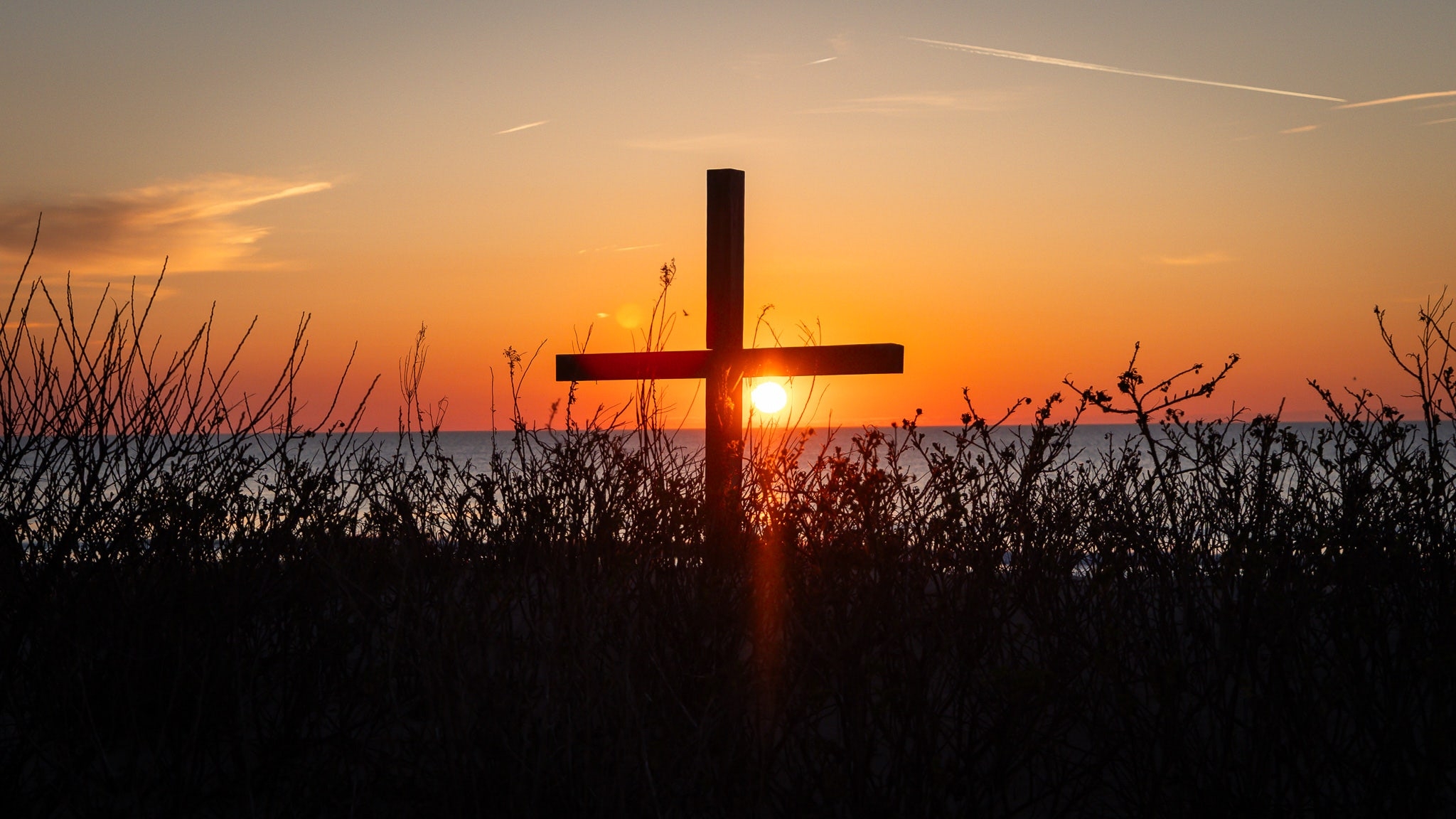 God can resurrect and restore what you think is lost and dead