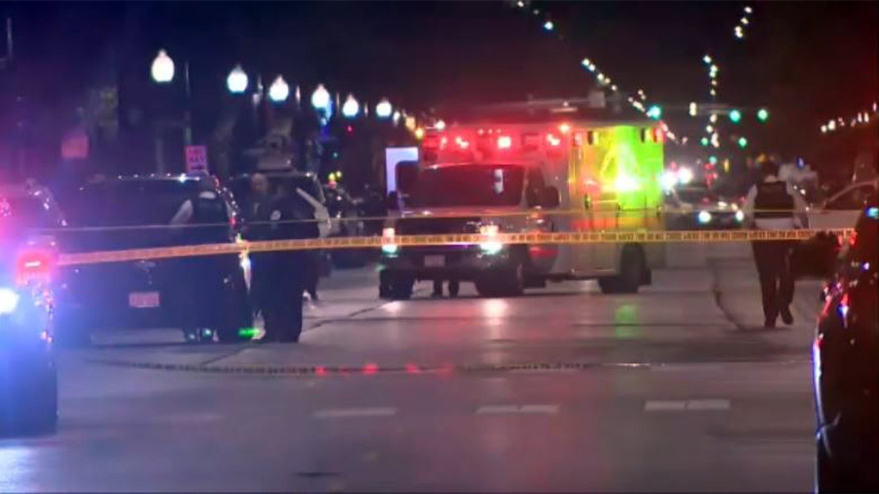 Chicago dubbed America's murder capital as Democrat leaders 'demonize' police, splurge on migrants: alderman