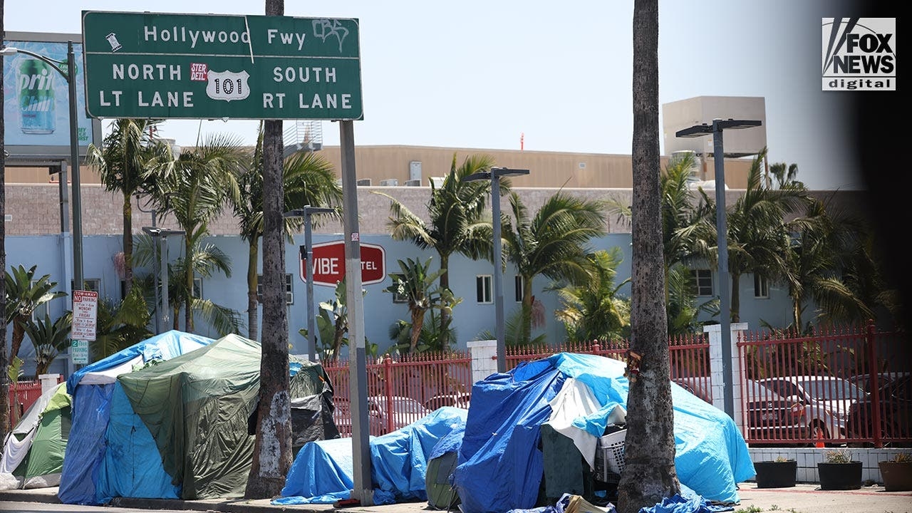 Los Angeles business owner blasts 'Baby Shark' on repeat to ward off homeless encampments