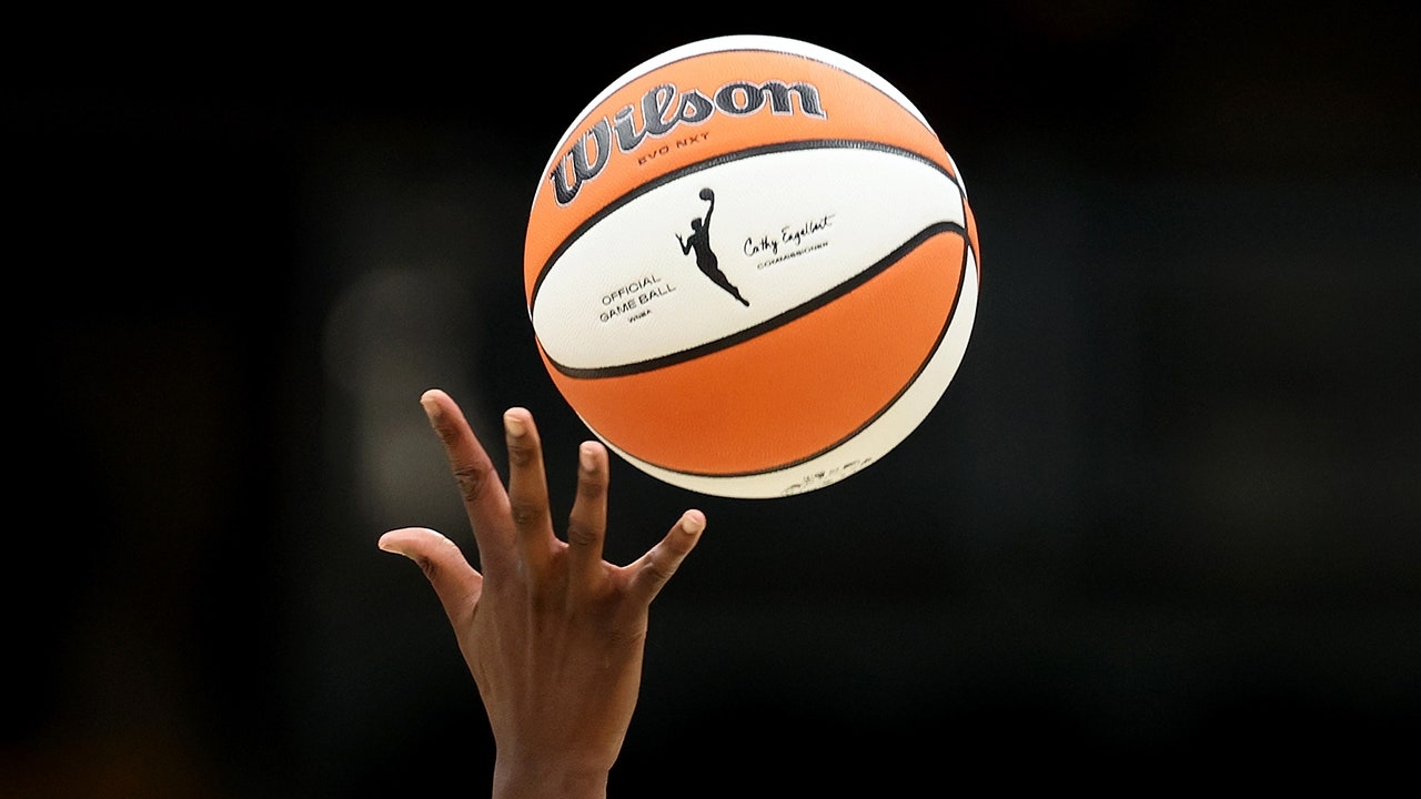 WNBA suggests it's pursuing criminal charges against fans who throw adult toys onto court during games