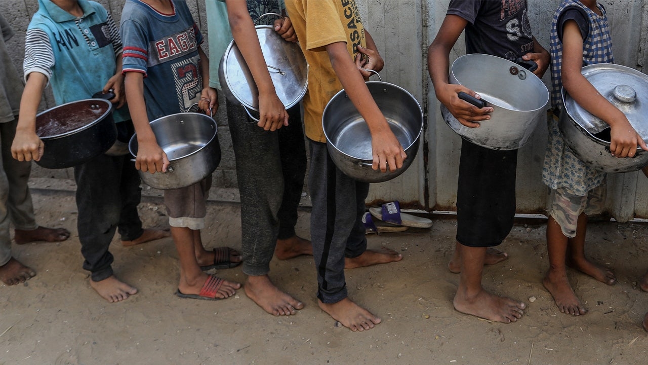 UNICEF official says Gaza malnutrition reaches 'famine levels' as humanitarian aid trickles in