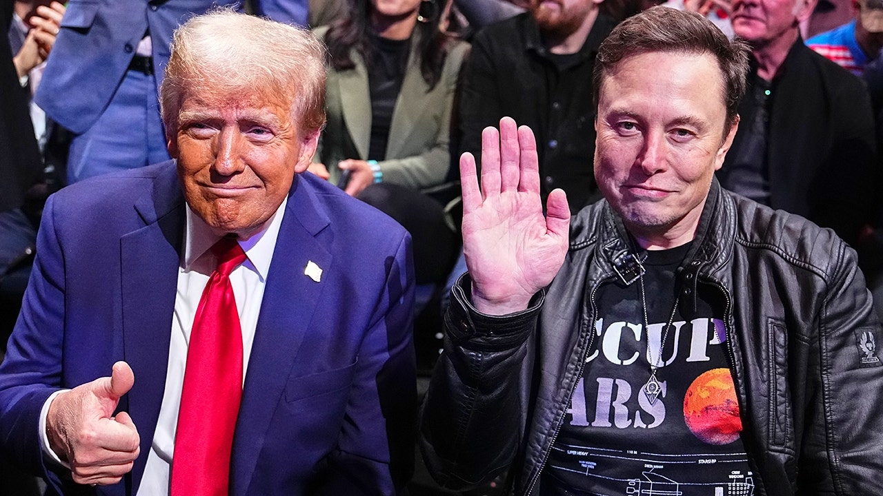 What's next for DOGE after Elon Musk's departure? 'Only just begun'