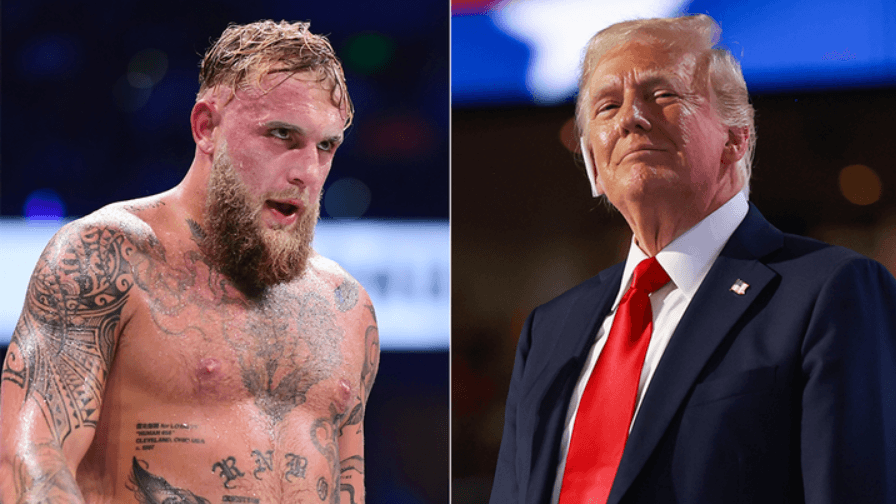 Jake Paul claims Republican party has 'alpha male' problem amid Trump-Musk meltdown