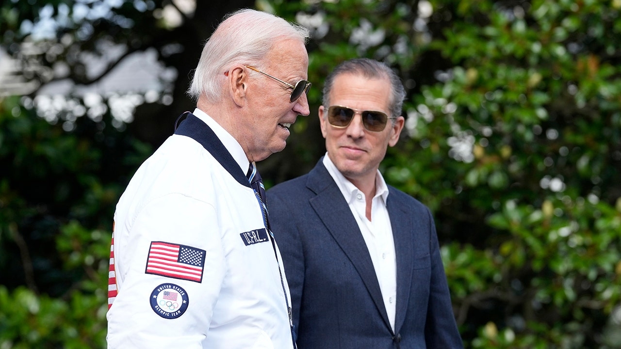 Hunter Biden agrees to be stripped of license to practice law in DC: court records