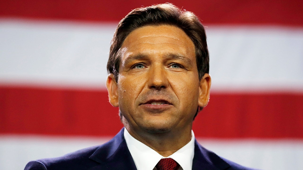 DeSantis goads Congress to follow FL's DOGE blueprint as Musk's cuts still wait for vote