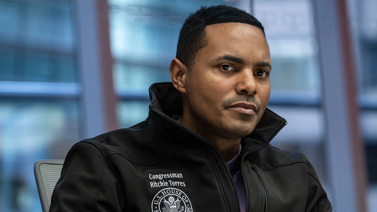 New York Democrat fears 'hysterical' resistance will crowd out much-needed restructuring of the party