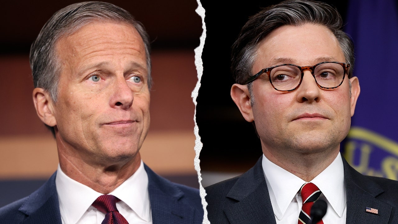 House Republicans push for quick vote on Senate-approved bill despite internal resistance