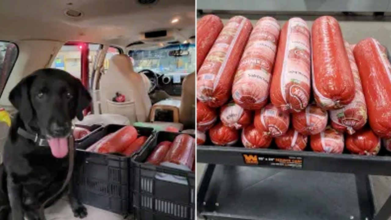 CBP in Texas confiscates 242 pounds of smuggled Mexican bologna at port of entry