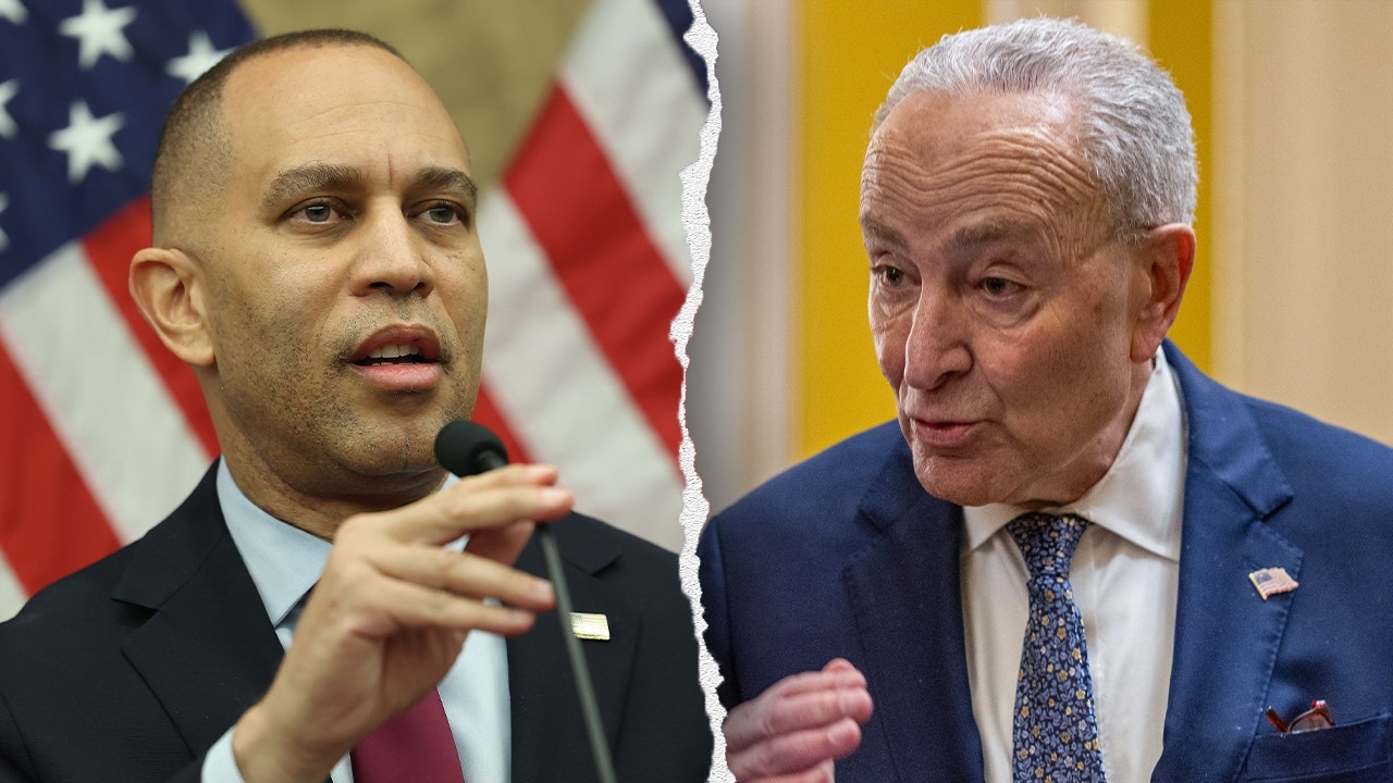 Democratic voters slam their own party as 'inept' and 'useless' in NY Times opinion interview