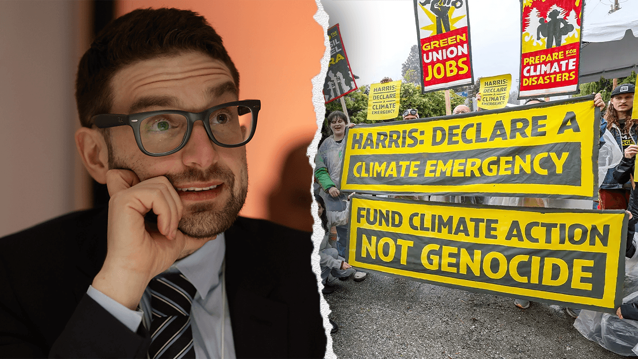 Alex Soros fumes at left-wing climate group over 'Palestine' obsession: 'What the hell'
