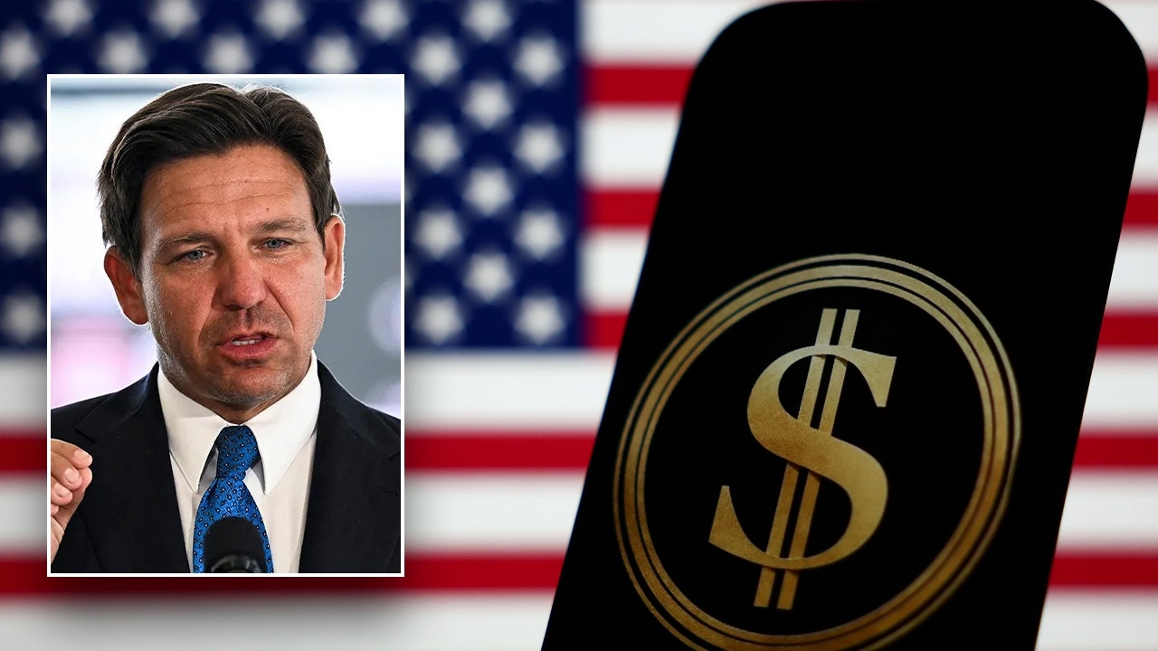 Gov. DeSantis' new DOGE task force gains momentum as universities, localities commit to being audited