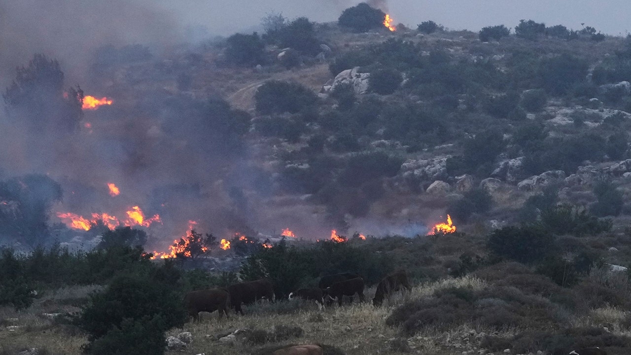 Israel cancels Independence Day celebrations as wildfires rage through country