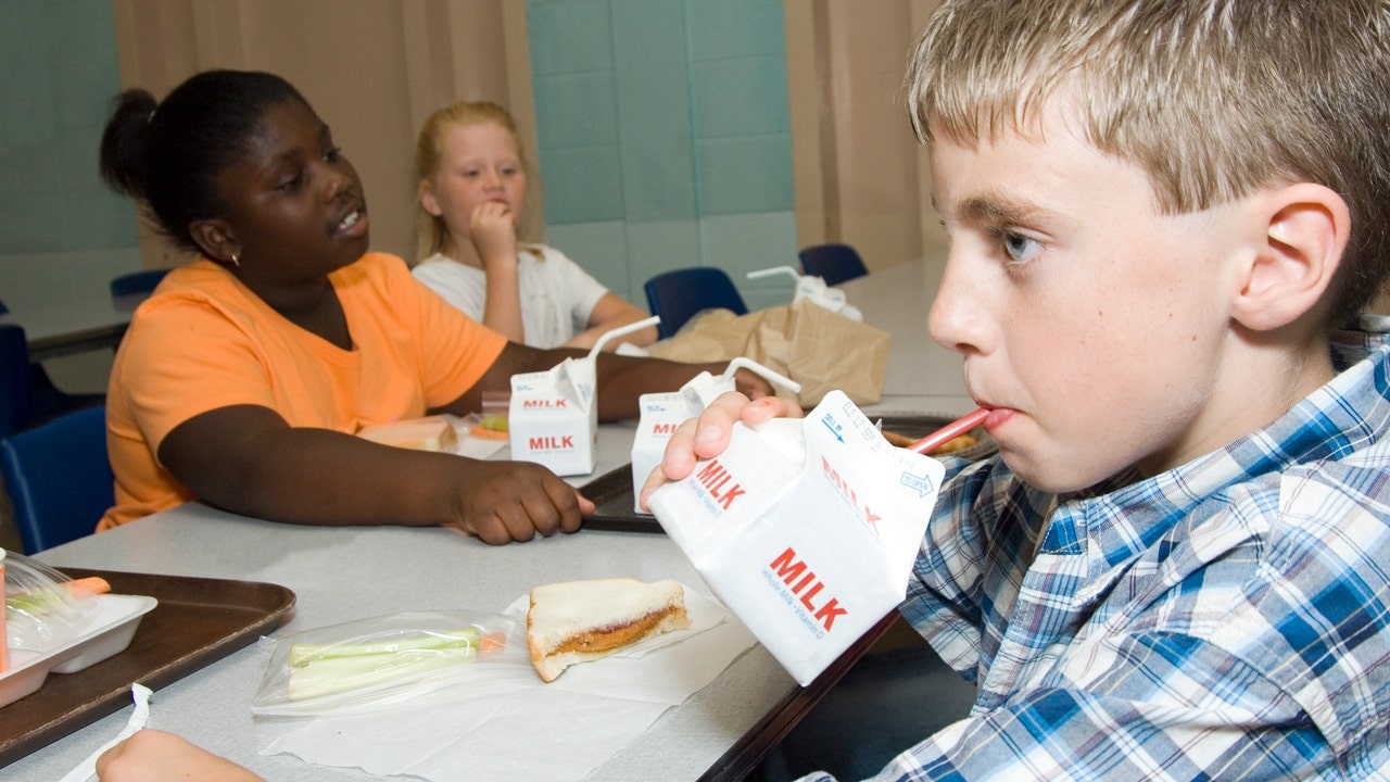 Whole milk should be back at schools, experts say: 'Nutrition science has evolved'