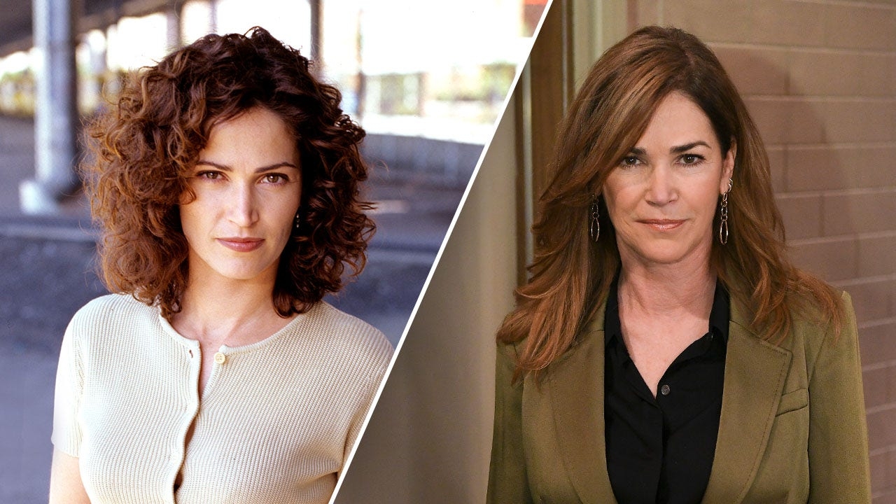 'NYPD Blue' star Kim Delaney's felony arrest caps alcoholism battle spanning decades
