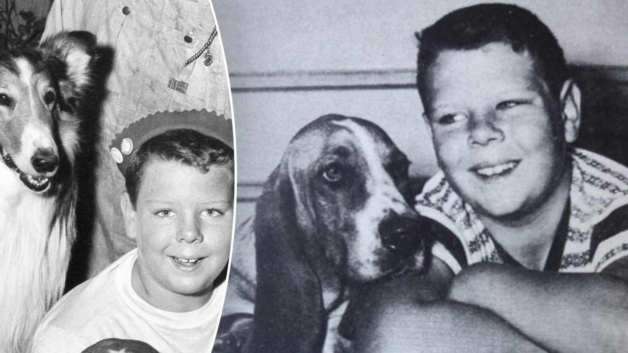'Lassie' actor Joey D. Vieira dead at 80