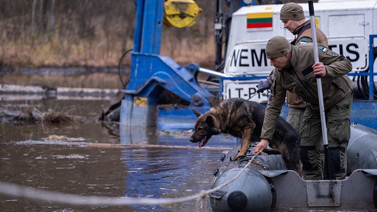 Lithuania deploys dogs in search for final missing US soldier after vehicle sank in swamp