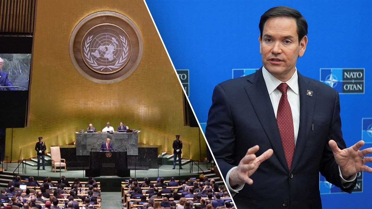 White House proposal axes UN, NATO funds and halves State Department budget