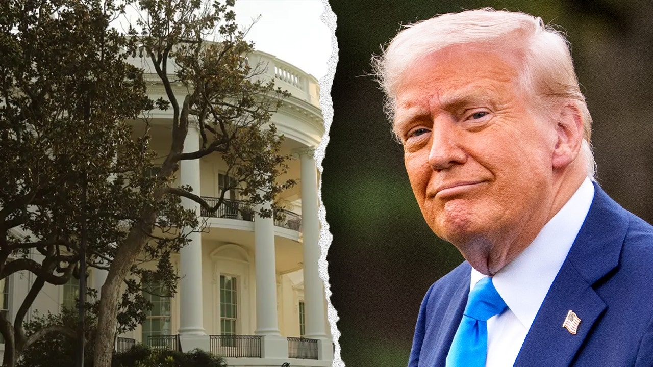 Does President Trump really need to cut down Andrew Jackson's magnolia tree? Expert weighs in