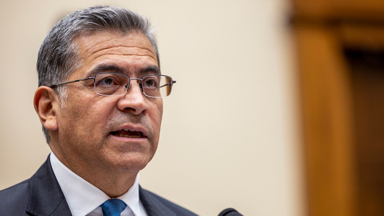 Former Biden cabinet member mounts California gubernatorial bid