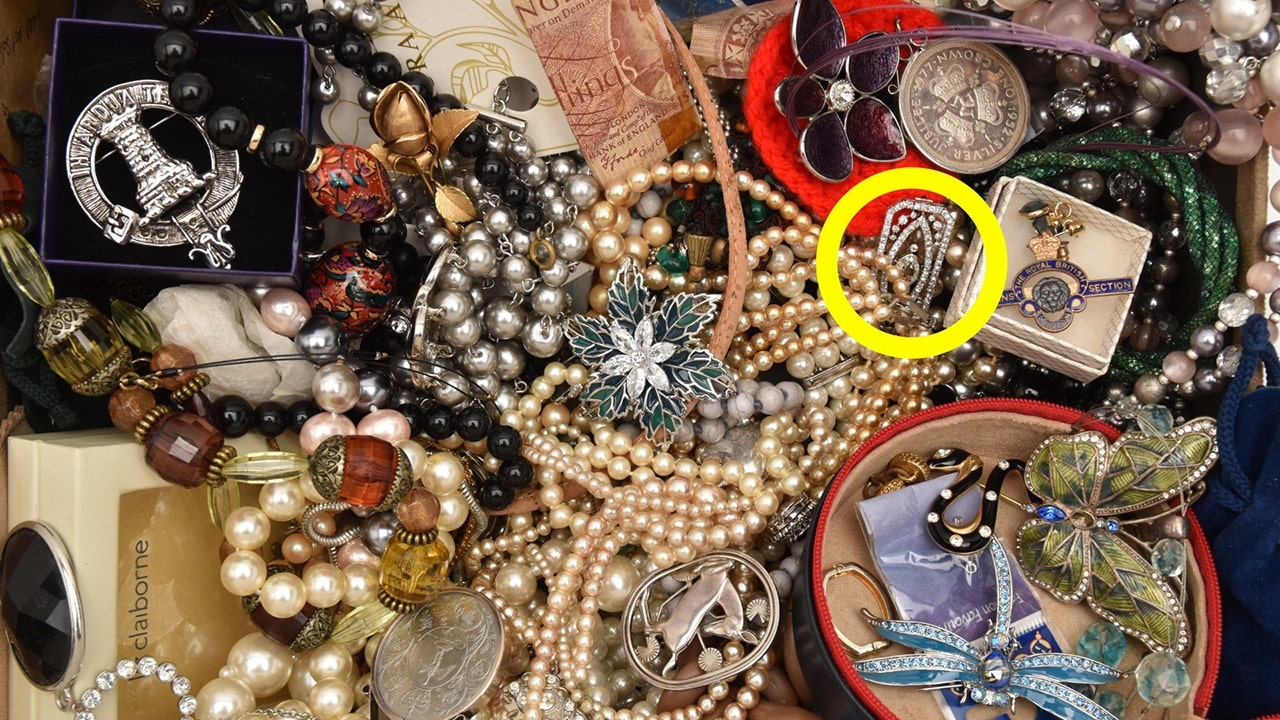 Rare diamond brooch found hiding in jewelry box delivers 'special moment'