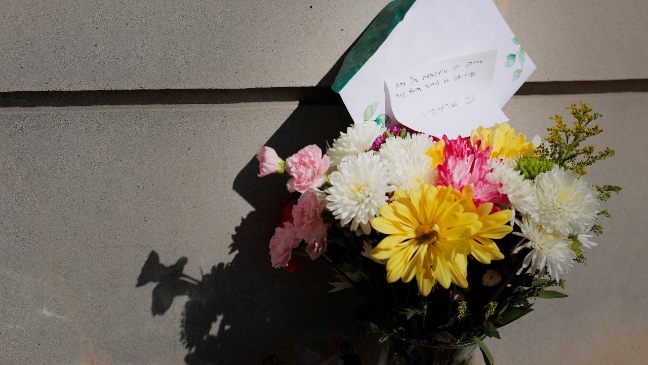 Social media support for accused killers Luigi Mangione, Elias Rodriguez an 'exceptionally bad sign': expert