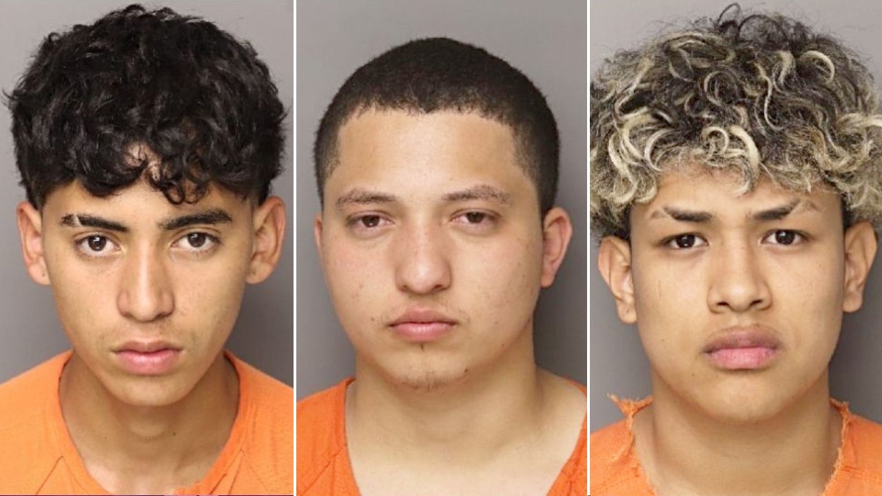 Six migrants charged in SC mom's murder detailed crime in eerie messages: ‘Just the beginning'