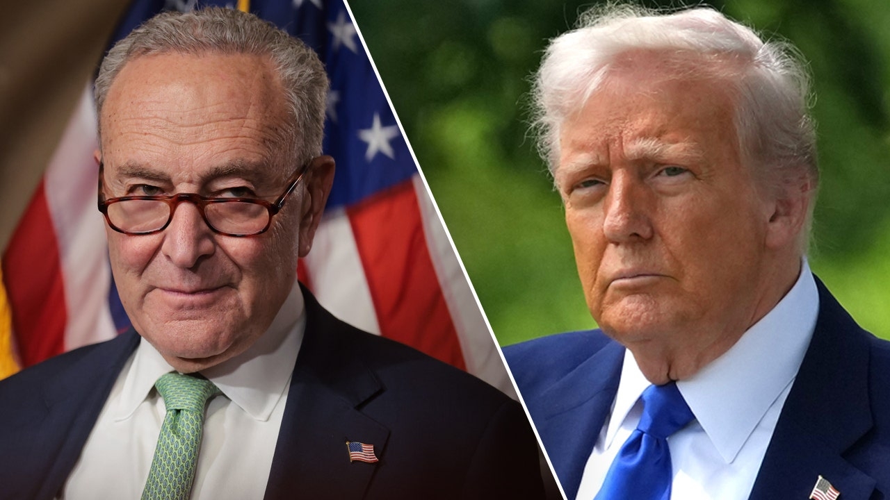 Schumer, Democrats plot coordinated resistance to Trump's 'one ugly bill'