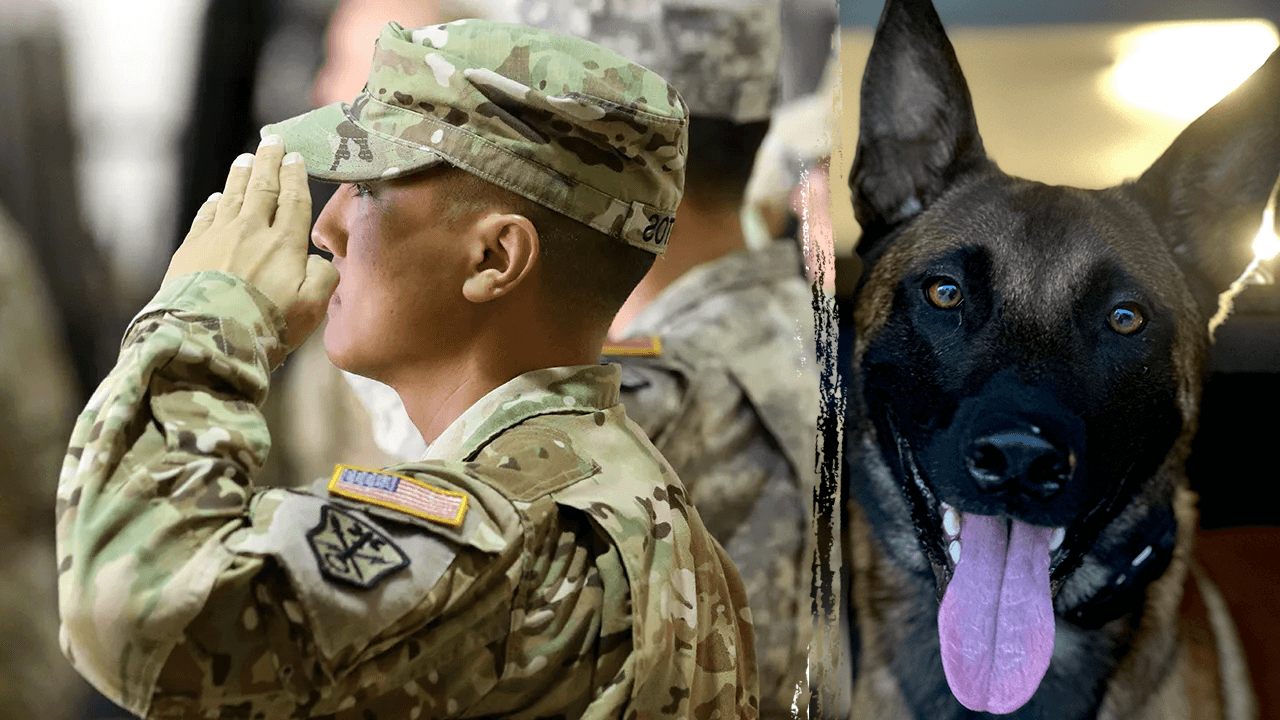 Fallujah vet turns Medal of Heroism into a healing mission for fellow warriors with service dogs program