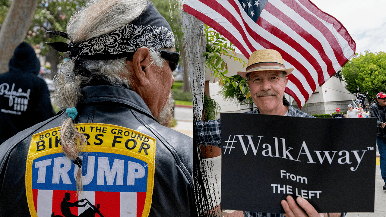 Dems drop $20M on bizarre 'American men' strategy plan study in effort to dig out of 2024 political hole