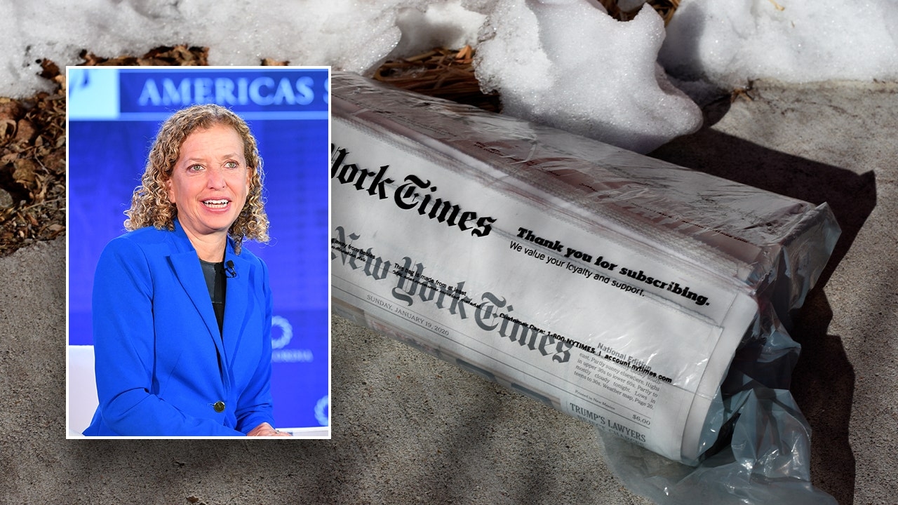 Wasserman Schultz rejects NY Times report on voters seeing Democrats as 'slow' and 'passive'