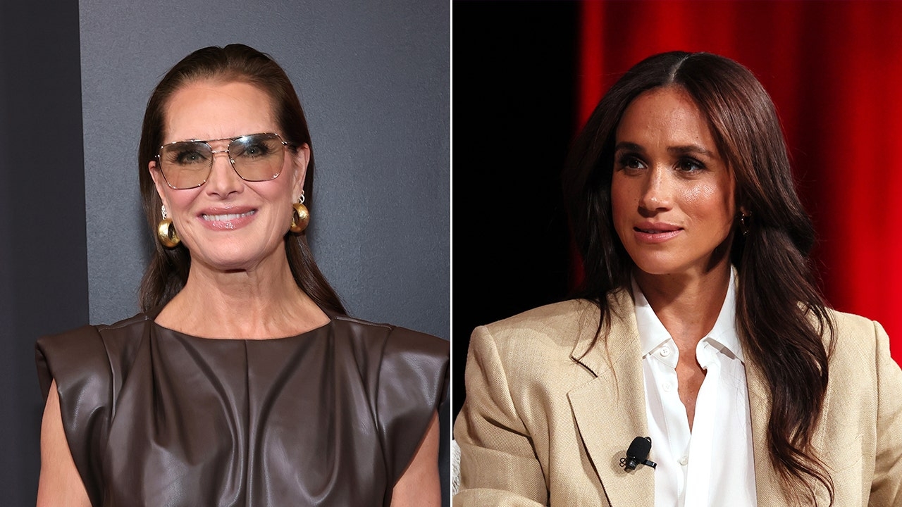 Brooke Shields calls out Meghan Markle's gender equality story as 'too precious'